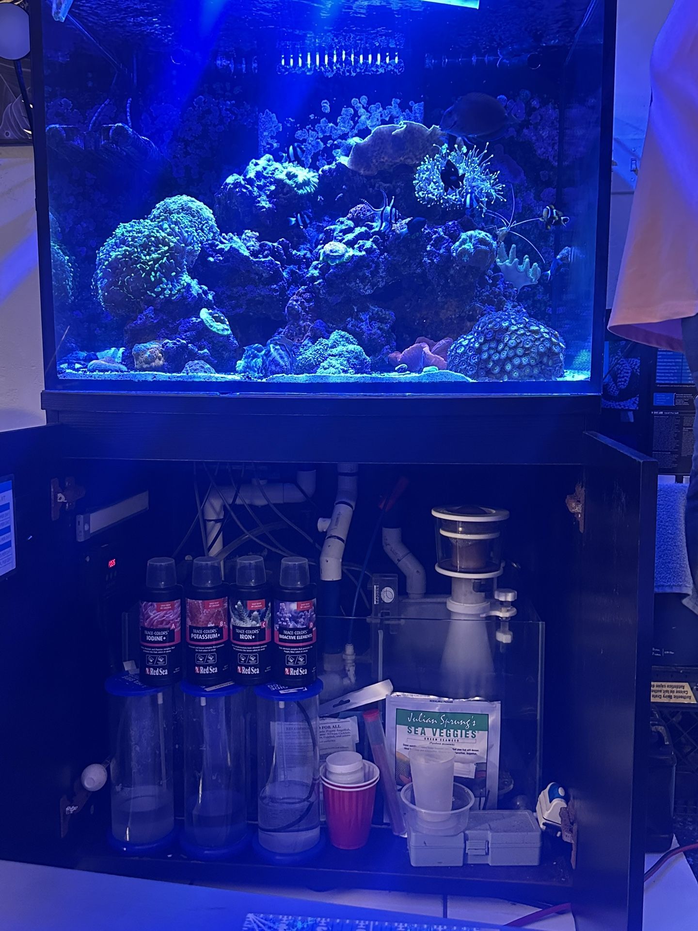 80 Gallon Cube Fish Tank