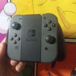 Nintendo Switch Controller 