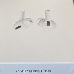 Air Pod Pro (1st Gen)