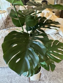 World Market Large Faux Monstera Plant with Planter & Stand