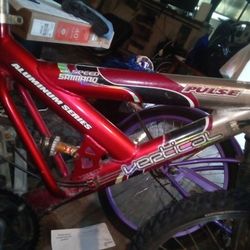 Aluminum Series Next Bike