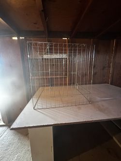 Rooster Cages
