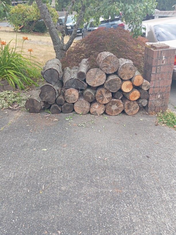 Free Firewood Rounds