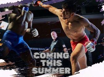 Martial Arts and Fitness Training