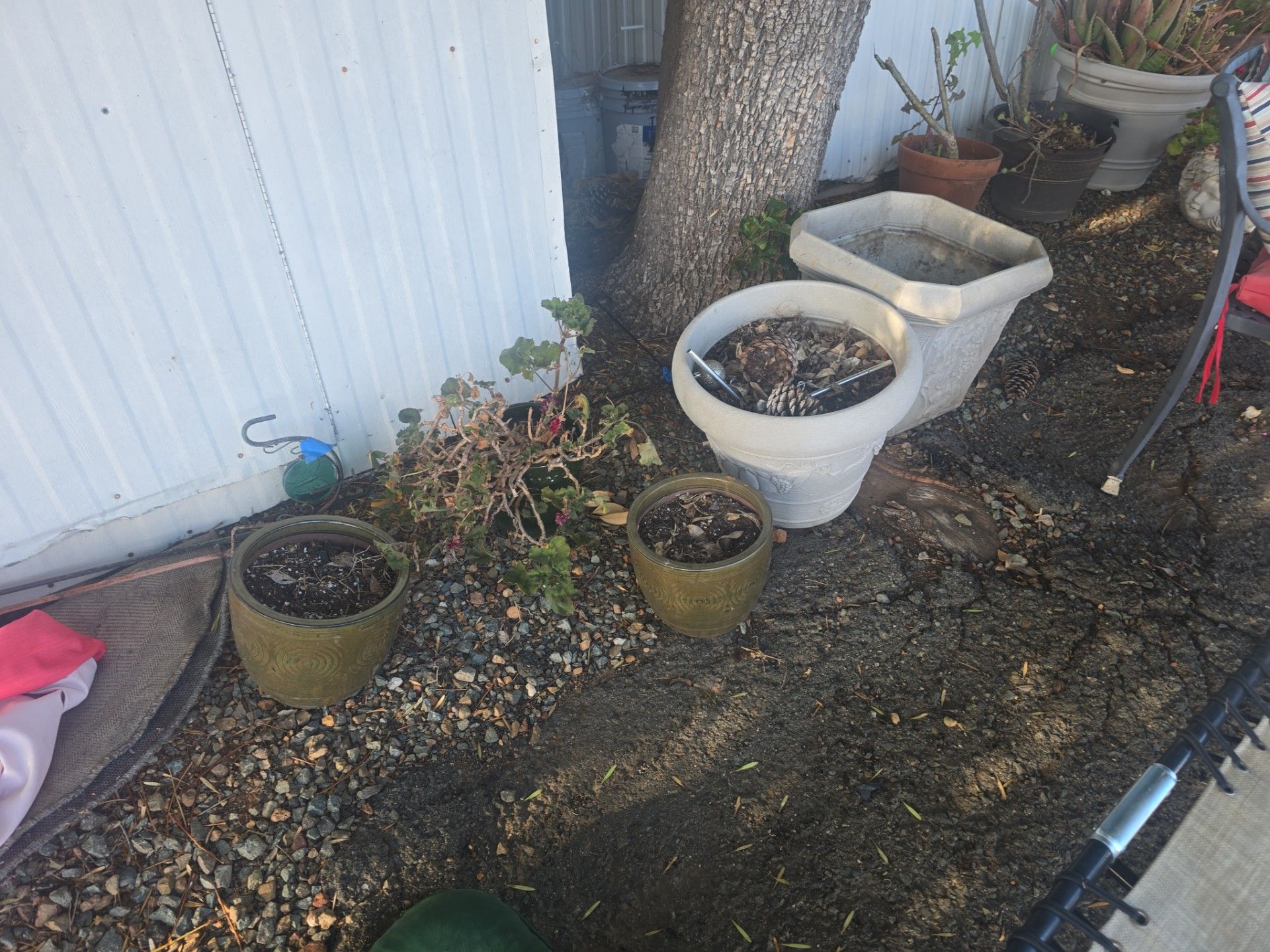 Pots and plants