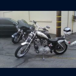 2003 Hd Sportster 