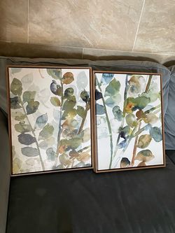 Watercolor Botanical Framed Canvas Art Set of 2