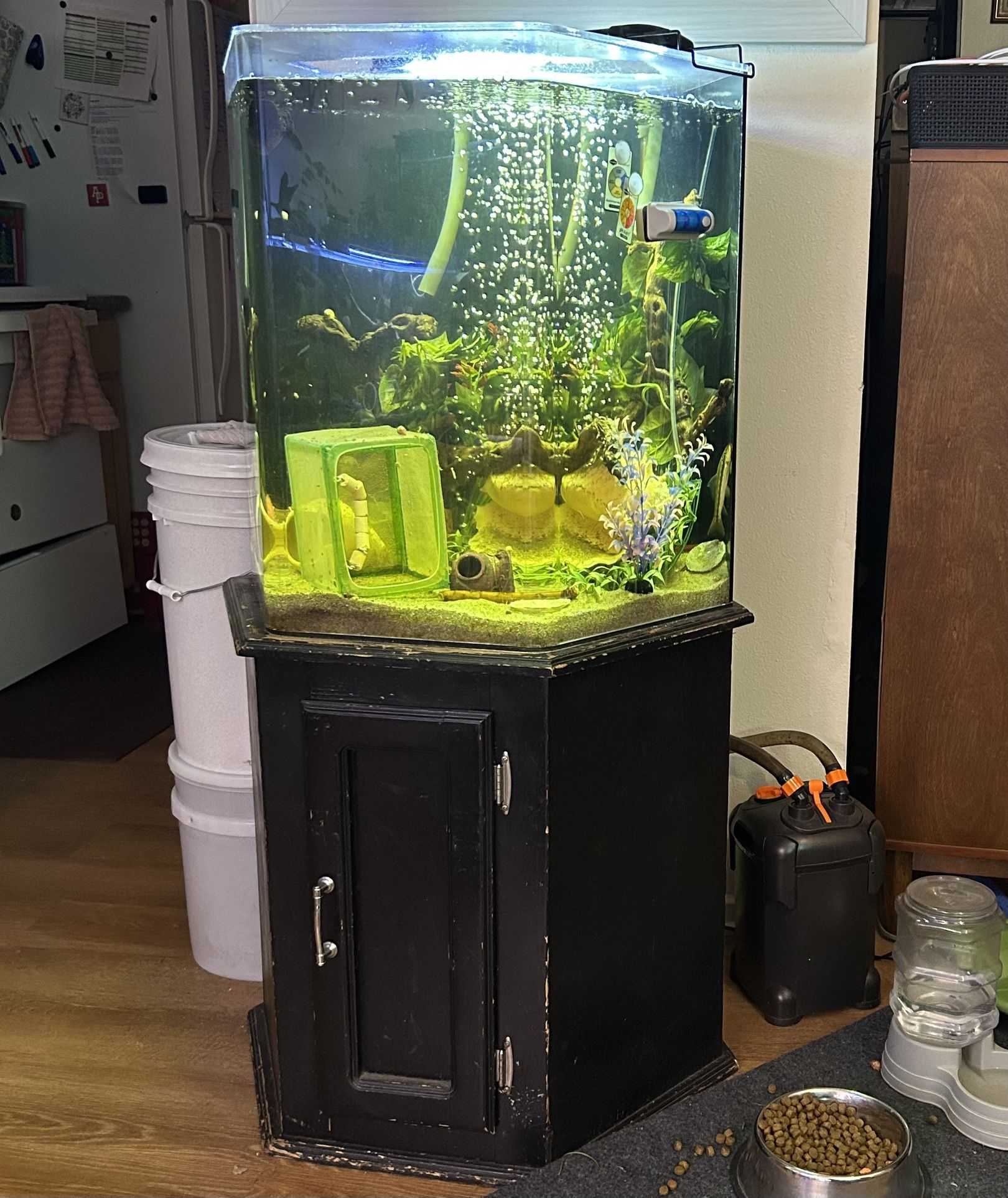 45 Gallon Acrylic Aquarium & Stand
