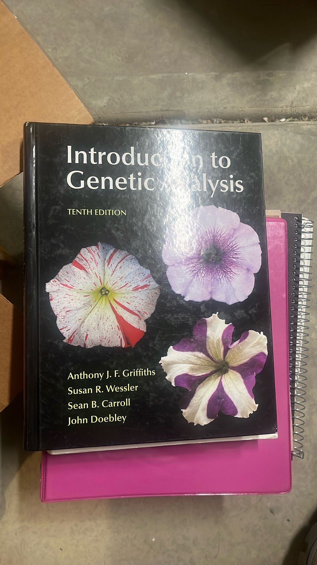 Introduction To Genetic Analysis 
