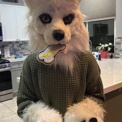 White Wolf Fursuit