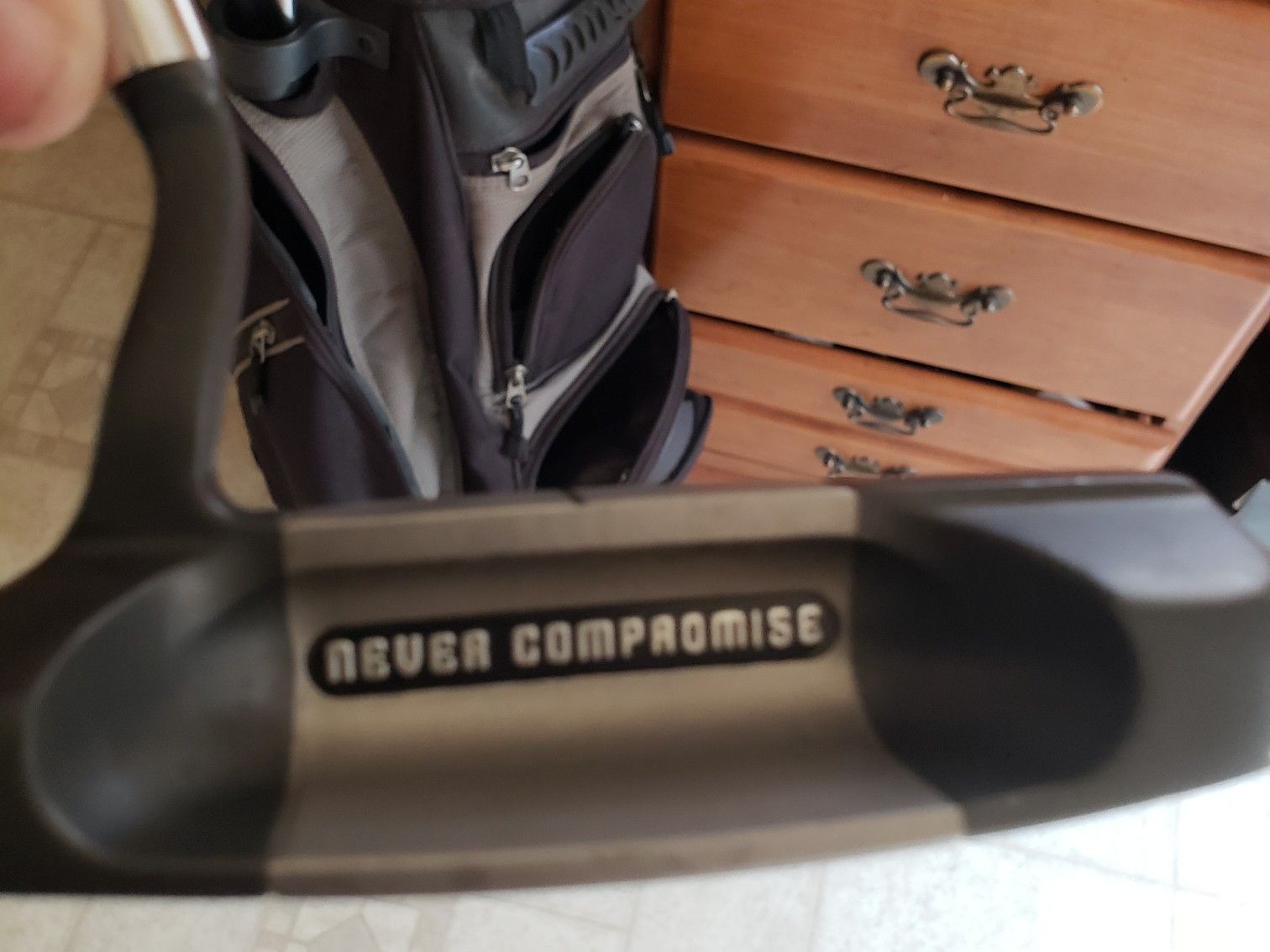 Golf bag and golf clubs