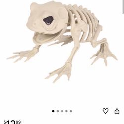 Skeleton frog & fish