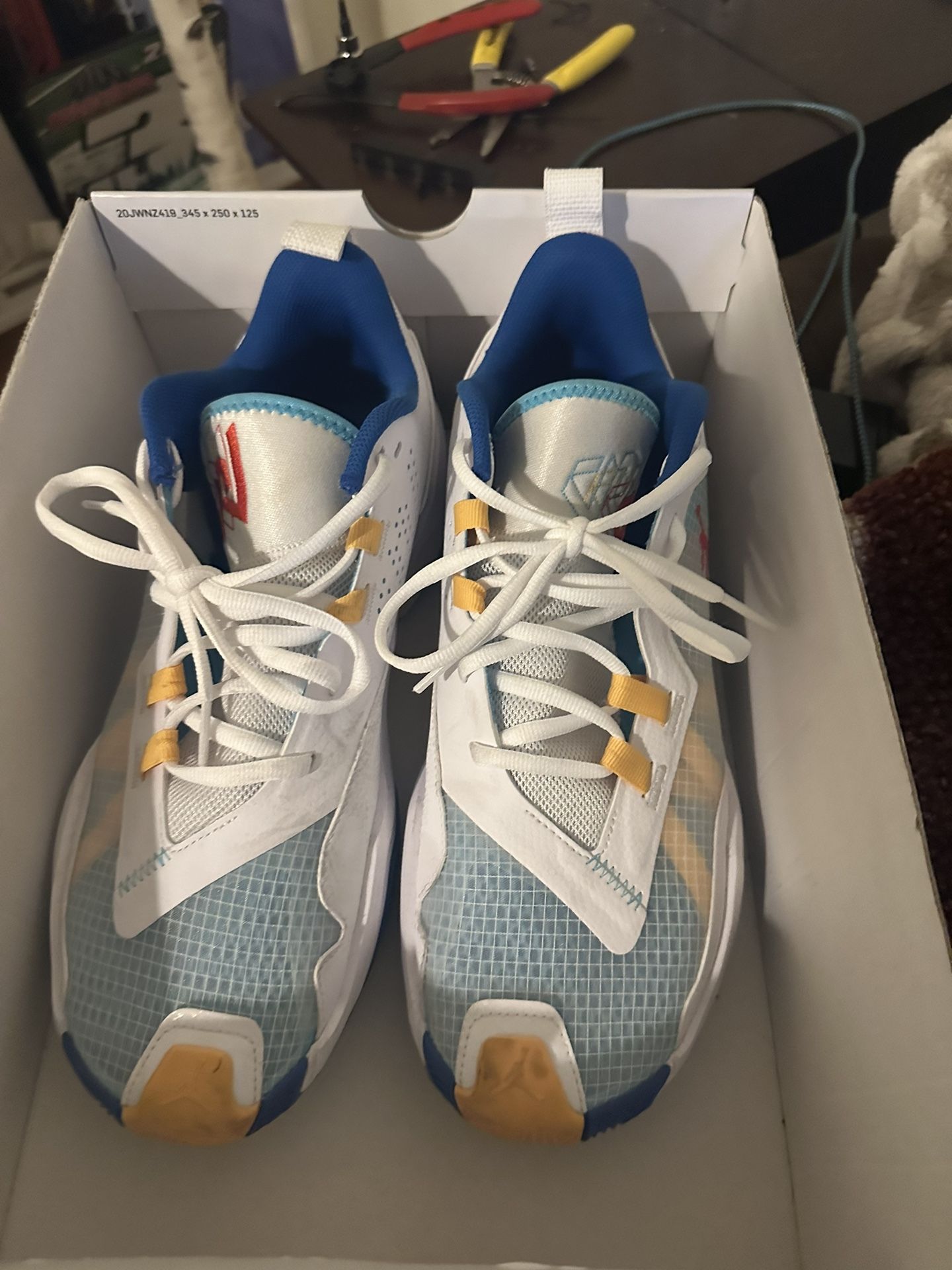 Jordan’s Size 11 Near New