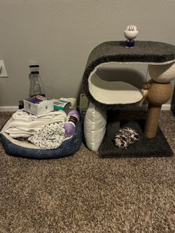 Complete New Cat Starter Bundle - Austin pickup