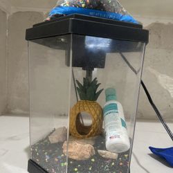 Small Fish Tank