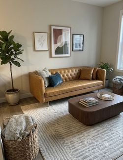 Living Room Couch Sofa