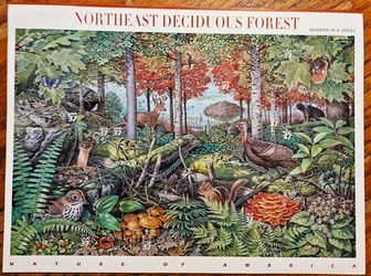 USPS Northeast Deciduous Forest 37¢ Stamp Sheet