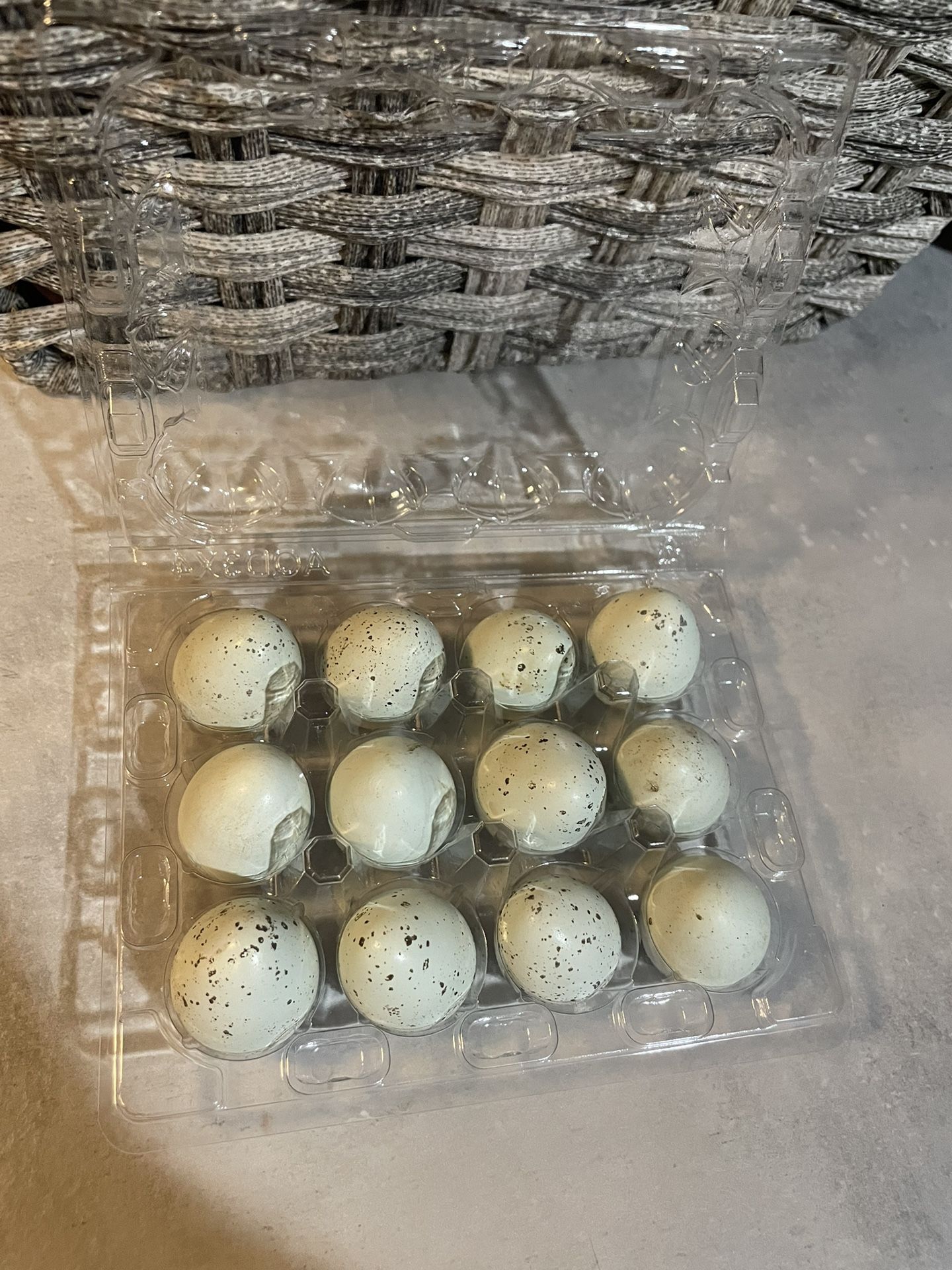 Quail Eggs