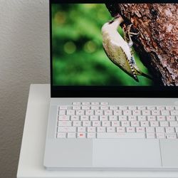 Asus G14 (oled and 4060 model)