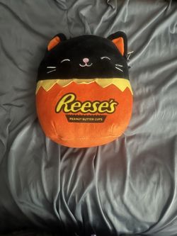 Reesie’s Squishmallow