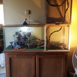 Fish/Reptile Tank