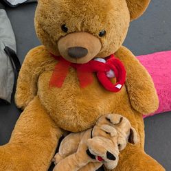 Teddy Bare