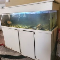 Fish Tank With EVERYTHING! 