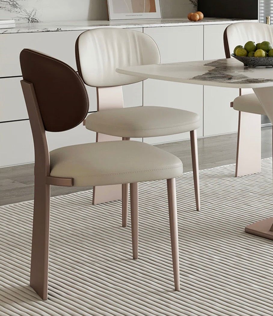 Modern And Simple Stainless Steel Backrest Chair (Set of 2)