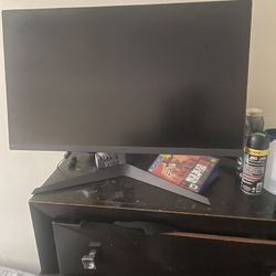 Computer Monitor 