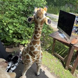 Giant stuffed Giraffe