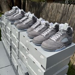 Wolf Grey 5