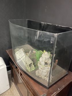 40 Gallon Fish TANK