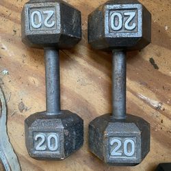 20lb Dumbbells 