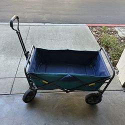 Wagon with Case