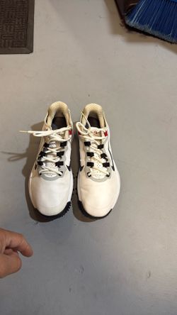 Golf Shoes. Tiger 🐅  Woods