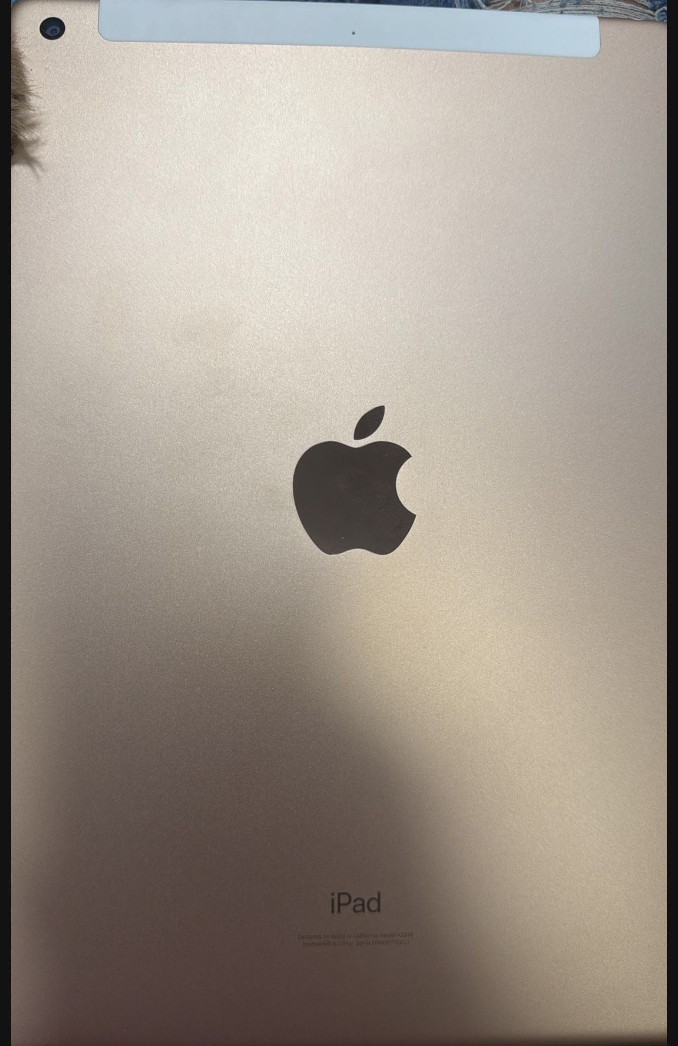 iPad