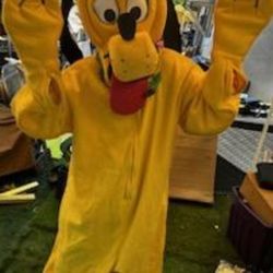 Party Costume $350