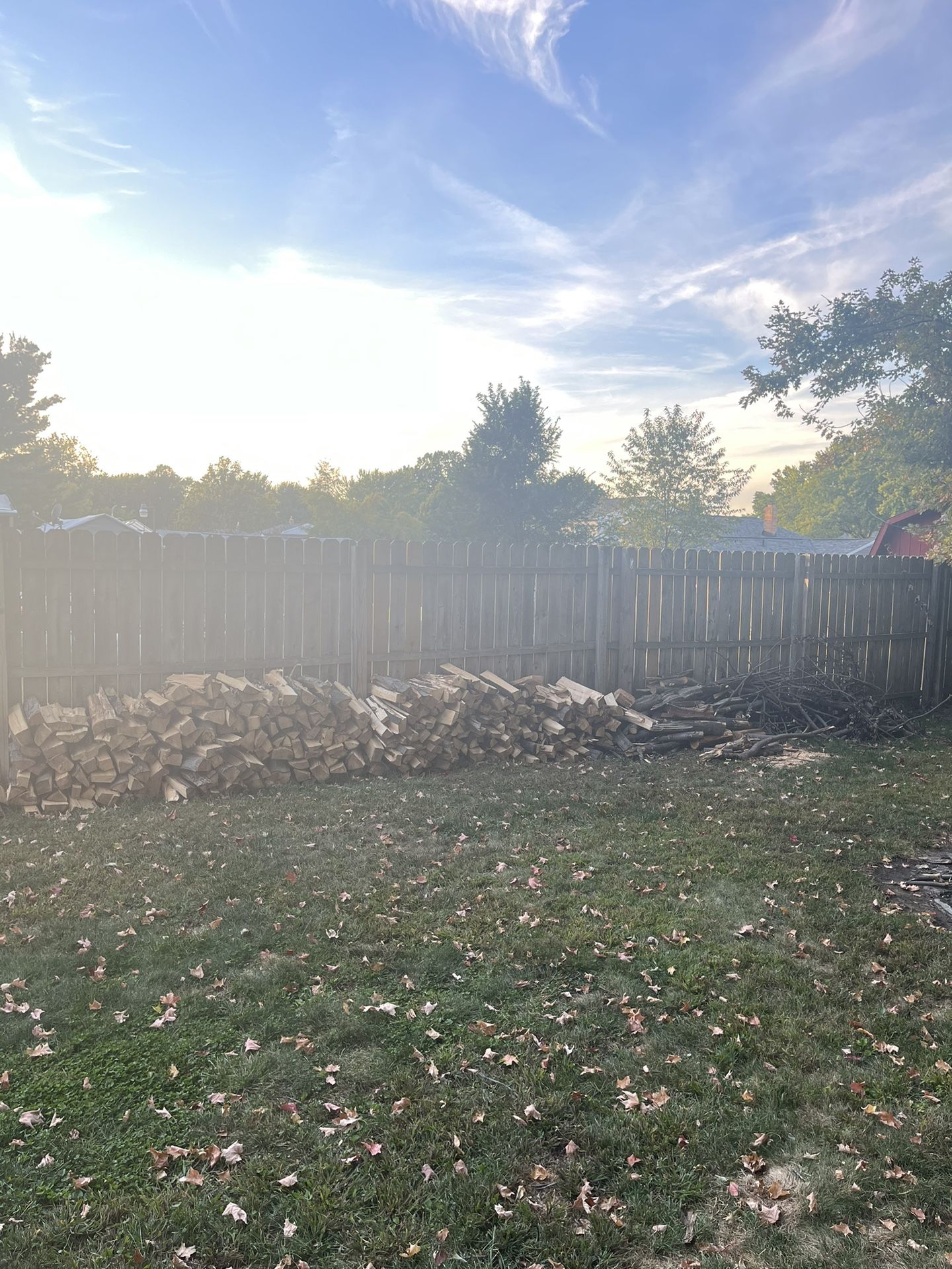 Firewood / Wood