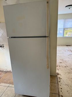 Fridge