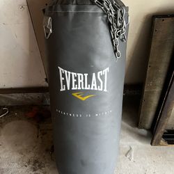 Everlast Punching Bag - Like New 