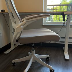 Ergonomic Office Chair