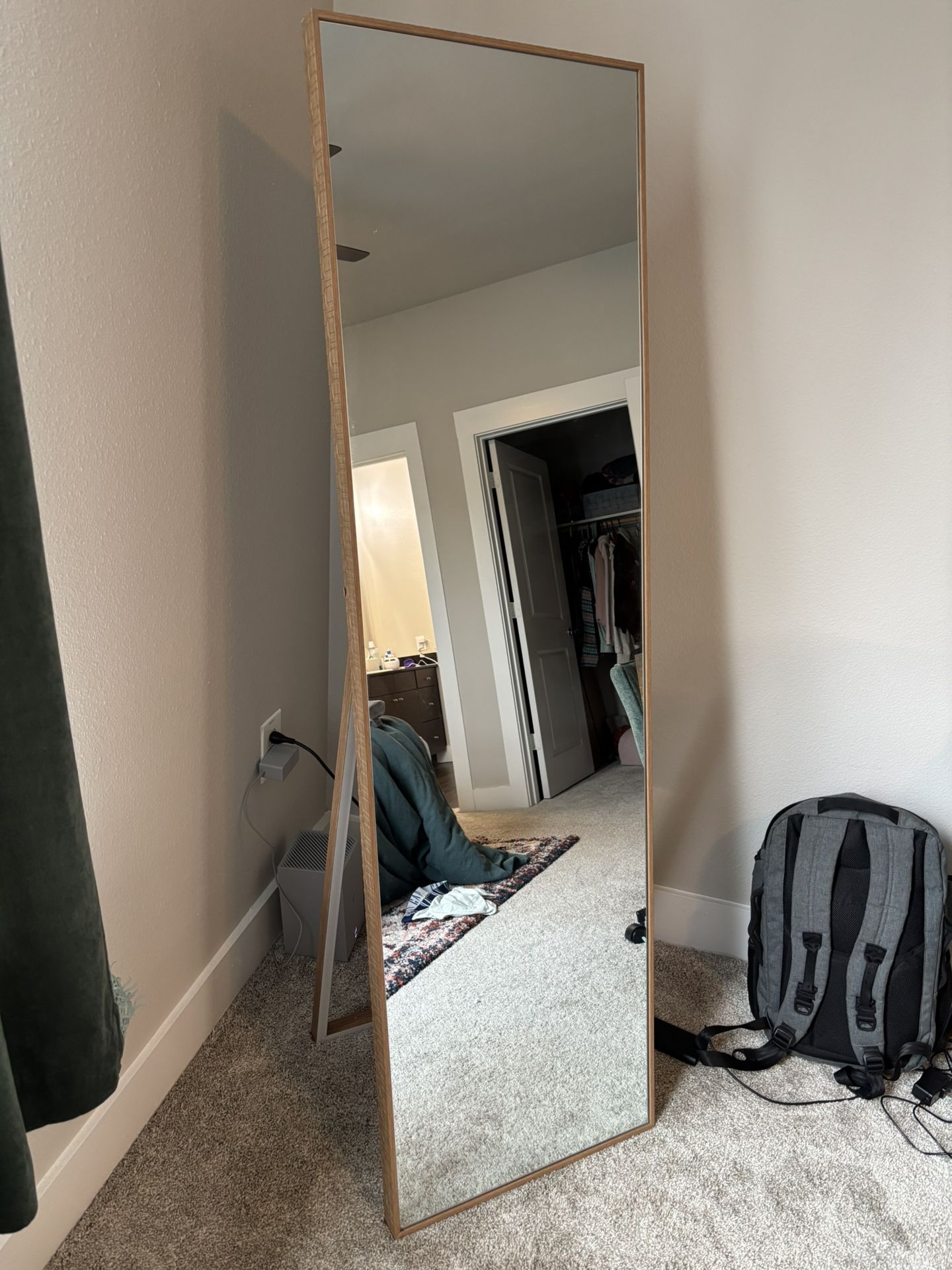 Full Length Mirror $25