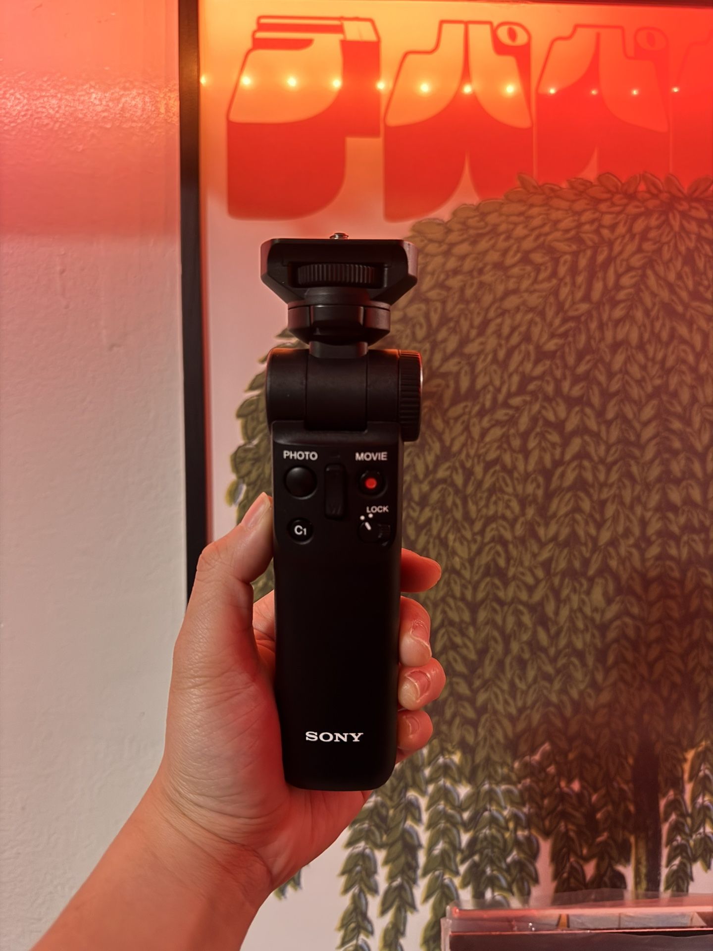 Sony Wireless Bluetooth Grip