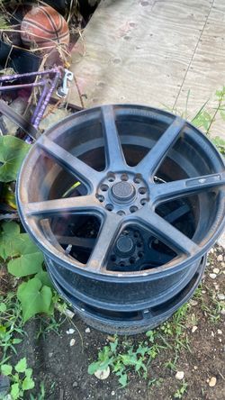 Black rims