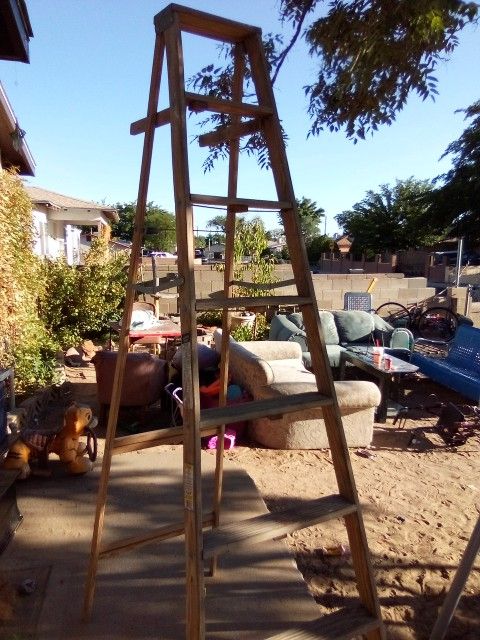 8ft Wooden Ladder
