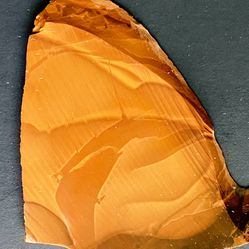 Willow Creek Porcelain Jasper Idaho High Quality Cab Stone Slab Slice Scenic