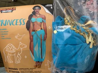 Princess Jasmine Costume