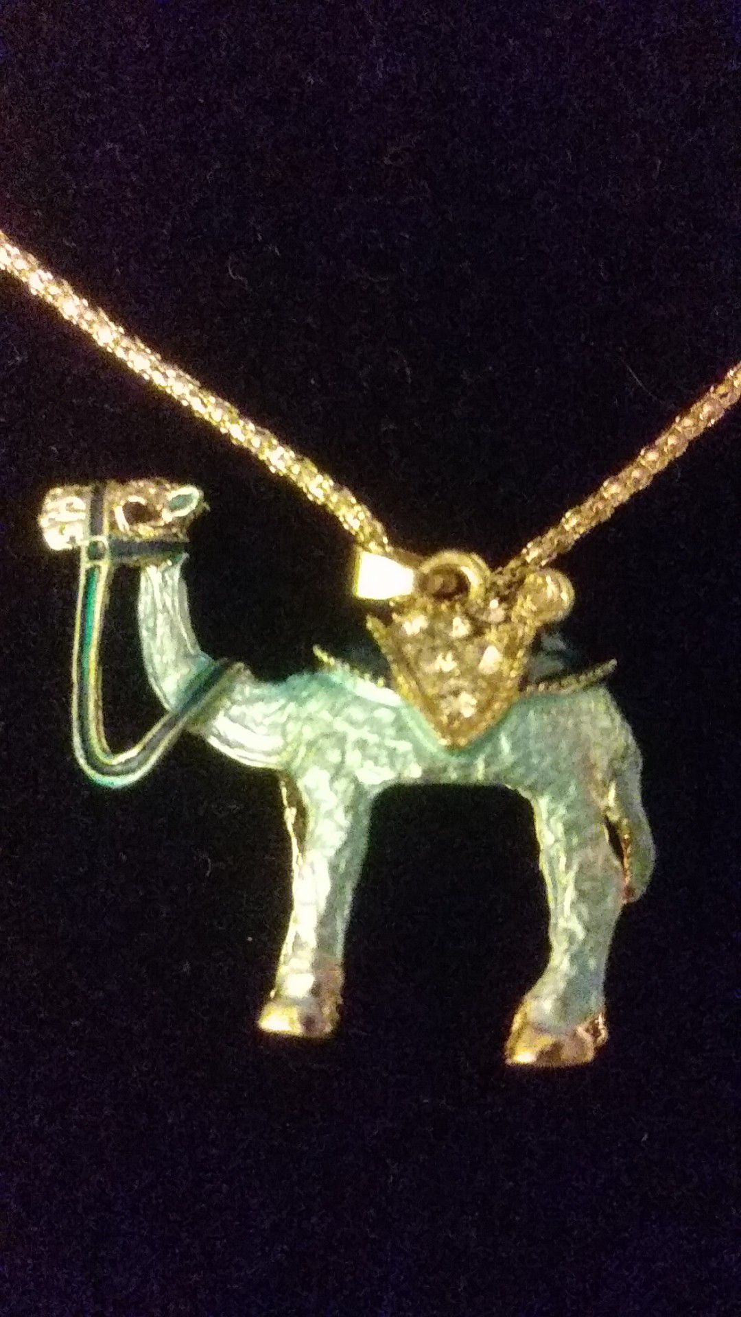 Necklace, camel,17$