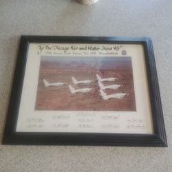 1993 Chicago Air And Water Show United States Air Force Thunderbirds With 11 Autographs Picture And Framed