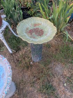 Bird bath